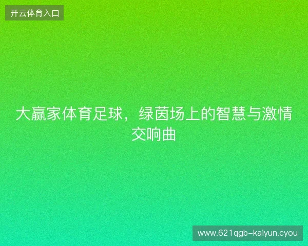大赢家体育足球，绿茵场上的智慧与激情交响曲